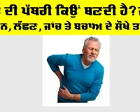 Gallbladder Stones: ਪਿੱਤੇ ਦੀ ਪੱਥਰੀ ਕਿਉਂ ਬਣਦੀ ਹੈ? ਜਾਣੋ ਕਾਰਨ, ਲੱਛਣ, ਜਾਂਚ ਤੇ ਬਚਾਅ ਦੇ ਸੌਖੇ ਤਰੀਕੇ