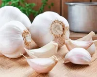 Garlic Health Benefits: ਲਸਣ ਦੀਆਂ 1-2 ਕਲੀਆਂ ਕਰੋ ਖੁਰਾਕ ’ਚ ਸ਼ਾਮਲ, ਦਿਲ ਤੋਂ ਲੈ ਕੇ ਪੇਟ ਤੱਕ ਮਿਲ ਸਕਦੇ ਹਨ ਇਹ ਫਾਇਦੇ