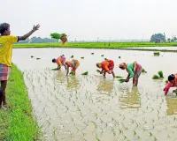 India Monsoon : ਭਾਰਤ ਦੇ ਮਾਨਸੂਨ ’ਚ ਸੁਧਾਰ, ਸਾਉਣੀ ਦੀਆਂ ਫਸਲਾਂ ਨੂੰ ਨੁਕਸਾਨ ਹੋਣ ਦਾ ਡਰ ਘੱਟ : ਰਿਪੋਰਟ