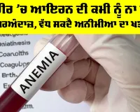 Iron Deficiency: ਸਰੀਰ ’ਚ ਆਇਰਨ ਦੀ ਕਮੀ ਨੂੰ ਨਾ ਕਰੋ ਨਜ਼ਰਅੰਦਾਜ਼, ਵੱਧ ਸਕਦੈ ਅਨੀਮੀਆ ਦਾ ਖਤਰਾ