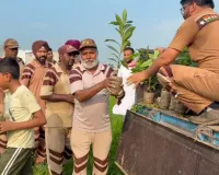 Moga Tree Plantation: ਮੋਗਾ ਜ਼ਿਲ੍ਹੇ ਦੀ ਸਾਧ-ਸੰਗਤ ਨੇ ਲਾਏ 14300 ਪੌਦੇ