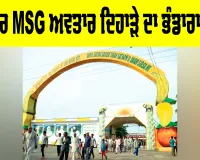 MSG Bhandara: ਪਵਿੱਤਰ MSG ਅਵਤਾਰ ਦਿਹਾੜੇ ਦਾ ਭੰਡਾਰਾ ਭਲਕੇ
