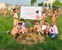 Tree Plantation: ਬਲਾਕ ਮੋਗਾ ਦੀ ਸਾਧ-ਸੰਗਤ ਨੇ ਪੂਜਨੀਕ ਗੁਰੂ ਜੀ ਦੇ ਅਵਤਾਰ ਦਿਵਸ ਦੀ ਖੁਸ਼ੀ ’ਚ ਲਾਏ ਪੌਦੇ