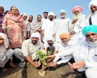Welfare Work: ਸੱਚਖੰਡ ਵਾਸੀ ਅਮਰਜੀਤ ਕੌਰ ਇੰਸਾਂ ਦੀ ਯਾਦ ’ਚ ਲਾਇਆ ਬੂਟਾ