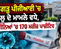 Chandigarh PGI Flu Cases: ਚੰਡੀਗੜ੍ਹ ਪੀਜੀਆਈ ’ਚ ਫਲੂ ਦੇ ਮਾਮਲੇ ਵਧੇ, 8 ਮਹੀਨਿਆਂ ’ਚ 170 ਮਰੀਜ਼ ਪਾਜ਼ੀਟਿਵ