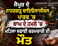 Jaipur Tiger Attack: ਜੈਪੁਰ ਦੇ ਨਾਹਰਗੜ੍ਹ ਬਾਇਓਲਾਜੀਕਲ ਪਾਰਕ ’ਚ ਬਾਘ ਦੇ ਹਮਲੇ ’ਚ ਮਹਿਲਾ ਸਫਾਈ ਕਰਮਚਾਰੀ ਦੀ ਮੌਤ 