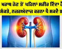 Kidney Disease Symptoms: ਗੁਰਦੇ ਖਰਾਬ ਹੋਣ ਤੋਂ ਪਹਿਲਾਂ ਸਰੀਰ ਦਿੰਦਾ ਹੈ ਇਹ ਵੱਡੇ ਸੰਕਤੇ, ਨਜ਼ਰਅੰਦਾਜ਼ ਕਰਨਾ ਪੈ ਸਕਦੈ ਭਾਰੀ