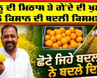 Success Farmer Story: ਕਿੰਨੂ ਦੀ ਮਿਠਾਸ ਤੇ ਗੇਂਦੇ ਦੀ ਖੁਸ਼ਬੂ ਨੇ ਕਿਸਾਨ ਦੀ ਬਦਲੀ ਕਿਸਮਤ, ਛੋਟੇ ਜਿਹੇ ਬਦਲਾਅ ਨੇ ਬਦਲੇ ਦਿਨ