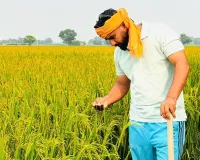 Kisan News: ਦੁੱਨੇਵਾਲਾ ਦਾ ਸੁਖਰਾਜ ਸਿੰਘ 21 ਏਕੜ ਰਕਬੇ ’ਚ ਝੋਨੇ ਦੀ ਪਰਾਲੀ ਦੀ ਬਿਨਾਂ ਅੱਗ ਲਾਏ ਕਰ ਰਿਹਾ ਹੈ ਸੰਭਾਲ