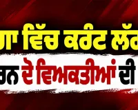 Moga News: ਮੋਗਾ ’ਚ ਕਰੰਟ ਲੱਗਣ ਕਾਰਨ ਦੋ ਵਿਅਕਤੀਆਂ ਦੀ ਮੌਤ
