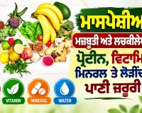 Muscle Strength: ਮਾਸਪੇਸ਼ੀਆਂ ਦੀ ਮਜ਼ਬੂਤੀ ਅਤੇ ਲਚਕੀਲੇਪਣ ਲਈ ਪ੍ਰੋਟੀਨ, ਵਿਟਾਮਿਨ, ਮਿਨਰਲ ਤੇ ਲੋੜੀਂਦਾ ਪਾਣੀ ਜ਼ਰੂਰੀ