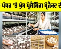 Mushroom Processing Project: ਜ਼ਿਲ੍ਹਾ ਪੱਧਰ ’ਤੇ ਖੁੰਬ ਪ੍ਰੋਸੈਸਿੰਗ ਪ੍ਰੋਜੈਕਟ ਦੀ ਲੋੜ