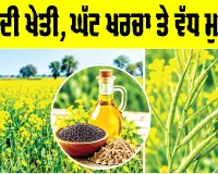 Mustard Farming: ਸਰ੍ਹੋਂ ਦੀ ਖੇਤੀ, ਘੱਟ ਖਰਚਾ ਤੇ ਵੱਧ ਮੁਨਾਫਾ