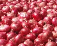 Onion Price: ਪਿਆਜ਼ ਨੇ ਰਸੋਈ ਦਾ ਬਜਟ ਵਿਗਾੜਿਆ, ਪ੍ਰਚੂਨ ਕੀਮਤ 70 ਰੁਪਏ ਪ੍ਰਤੀ ਕਿਲੋ ਤੱਕ ਪਹੁੰਚੀ