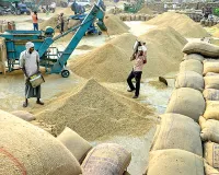 Paddy Procurement Punjab: ਝੋਨੇ ਦੀ ਖ਼ਰੀਦ ਲਈ 42,786 ਕਰੋੜ ਰੁਪਏ ਦੀ ਸੀਸੀਐੱਲ ਮਨਜ਼ੂਰ