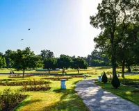 Punjab Weather: ਪੰਜਾਬ ਤੇ ਚੰਡੀਗੜ੍ਹ ’ਚ ਮੀਂਹ ਨਾਲ ਹੁੰਮਸ ਭਰੀ ਗਰਮੀ ਤੋਂ ਰਾਹਤ, ਯੈਲੋ ਅਲਰਟ ਜਾਰੀ