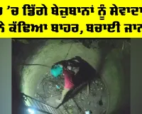 Sunam News: ਖੂਹ ’ਚ ਡਿੱਗੇ ਬੇਜ਼ੁਬਾਨਾਂ ਨੂੰ ਸੇਵਾਦਾਰਾਂ ਨੇ ਕੱਢਿਆ ਬਾਹਰ, ਬਚਾਈ ਜਾਨ