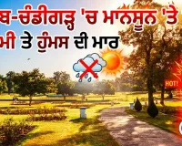 Weather Alert: ਪੰਜਾਬ-ਚੰਡੀਗੜ੍ਹ 'ਚ ਮਾਨਸੂਨ ਦੀ ਰਫ਼ਤਾਰ ਮੱਠੀ, ਗਰਮੀ ਤੇ ਹੁੰਮਸ ਵਧੀ