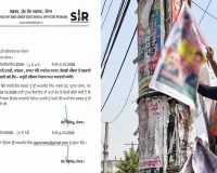 Action Against Illegal Hoardings: ਧਾਰਮਿਕ ਸਥਾਨਾਂ, ਬਿਜਲੀ ਦੇ ਖੰਭਿਆਂ ਤੇ ਸਰਕਾਰੀ ਕੰਧਾਂ ’ਤੇ ਲੱਗੇ ਗੈਰ-ਕਾਨੂੰਨੀ ਫਲੈਕਸਾਂ ਖ਼ਿਲਾਫ਼ ਕਾਰਵਾਈ ਦੇ ਹੁਕਮ