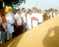 Ghagga Paddy Procurement: ਘੱਗਾ ਮੰਡੀ ’ਚ ਸ਼ੁਰੂ ਹੋਈ ਝੋਨੇ ਦੀ ਖਰੀਦ, ਕਿਸਾਨਾਂ ਨੂੰ ਲੈ ਕੇ ਲਿਆ ਗਿਆ ਵੱਡਾ ਫੈਸਲਾ