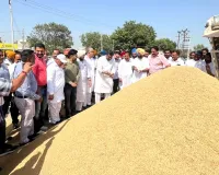 Government Paddy Purchase: ਜਲਾਲਾਬਾਦ ਦੇ ਵਿਧਾਇਕ ਨੇ ਦਾਣਾ ਮੰਡੀ ਜਲਾਲਾਬਾਦ ਅਤੇ ਘੁਬਾਇਆ ਵਿਖੇ ਝੋਨੇ ਦੀ ਸਰਕਾਰੀ ਖਰੀਦ ਸ਼ੁਰੂ ਕਰਵਾਈ