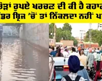 Mansa News: ਕਰੋੜਾਂ ਰੁਪਏ ਖਰਚਣ ਦੀ ਕੀ ਹੈ ਕਹਾਣੀ, ਅੰਡਰ ਬ੍ਰਿਜ ’ਚੋਂ ਤਾਂ ਨਿੱਕਲਦਾ ਨਹੀਂ ਪਾਣੀ