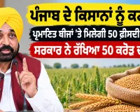 Punjab Farmers News: ਪੰਜਾਬ ਦੇ ਕਿਸਾਨਾਂ ਨੂੰ ਕਣਕ ਦੇ ਪ੍ਰਮਾਣਿਤ ਬੀਜਾਂ ’ਤੇ ਮਿਲੇਗੀ 50 ਫ਼ੀਸਦੀ ਸਬਸਿਡੀ, ਸਰਕਾਰ ਨੇ ਰੱਖਿਆ 50 ਕਰੋੜ ਦਾ ਬਜਟ