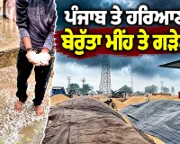 Punjab Hailstorm News: ਪੰਜਾਬ ਤੇ ਹਰਿਆਣਾ ’ਚ ਬੇਰੁੱਤਾ ਮੀਂਹ ਤੇ ਗੜੇਮਾਰੀ