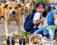 Stray Dogs Menace: ਅਵਾਰਾ ਕੁੱਤਿਆਂ ਦਾ ਖੌਫ਼ ਅਤੇ ਪ੍ਰਸ਼ਾਸਨ ਦੀ ਜਵਾਬਦੇਹੀ