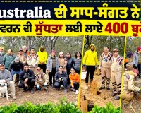 Tree Plantation: ਅਸਟਰੇਲੀਆ ਦੀ ਸਾਧ-ਸੰਗਤ ਨੇ ਵਾਤਾਵਰਨ ਦੀ ਸੁੱਧਤਾ ਲਈ ਲਾਏ 400 ਬੂਟੇ