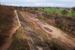 Sutlej Yamuna Link Canal : ਇਨੈਲੋ-ਅਕਾਲੀ ਨੌਟੰਕੀਬਾਜ਼ : ਵਿੱਜ, ਜ਼ੁਬਾਨ ਨਹੀਂ, ਹੱਥ ਚਲਾਓ : ਚੀਮਾ