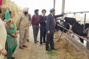 ਕਦੇ ਲਿਆ ਸੀ ਬੈਂਕ ਤੋਂ ਕਰਜ਼ਾ, ਹੁਣ ਇਹ ਔਰਤ ਇਸ ਧੰਦੇ ਤੋਂ ਕਮਾ ਰਹੀ ਐ ਲੱਖਾਂ