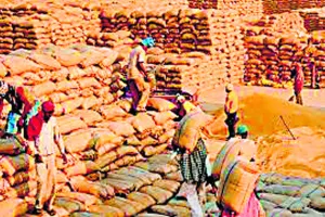 ਹੁਣ ਨਹੀਂ ਲੱਗਣਗੇ ਕਣਕ ਦੀਆਂ ਬੋਰੀਆਂ ਦੇ ਅੰਬਾਰ