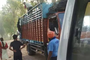 ਹਾਨੀਕਾਰਕ ਰਸਾਇਣ ਨਾਲ ਪੱਕੇ ਅੰਬਾਂ ਦਾ ਭਰਿਆ ਟਰੱਕ ਫੜ੍ਹਿਆ