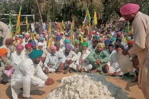 ਕਿਸਾਨਾਂ ਨੇ ਨਰਮਾ ਸਾੜ ਪ੍ਰਗਟਾਇਆ ਸਰਕਾਰ ਖਿਲਾਫ਼ ਰੋਸ
