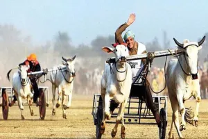 ਫਿਰ ਵੇਖਨ ਨੂੰ ਮਿਲੇਗੀ ਕਿਲ੍ਹਾ ਰਾਏਪੁਰ ‘ਚ ਬਲਦਾਂ ਦੀਆਂ ਦੌੜਾਂ, ਪੰਜਾਬ ਕੈਬਿਨਟ ਦਾ ਫੈਸਲਾ
