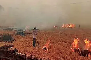 ਵਾਤਾਵਰਨ ਪ੍ਰਤੀ ਗੈਰ-ਜ਼ਿੰਮੇਵਾਰਾਨਾ ਰਵੱਈਆ