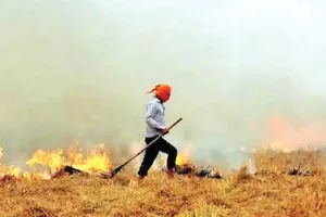 ਪੰਜਾਬ ‘ਚ ਪਰਾਲੀ ਸਾੜਨ ਕਾਰਨ ਹੋ ਰਹੇ ਪ੍ਰਦੂਸ਼ਣ ਨੂੰ ਰੋਕਣ ਲਈ ਸਰਕਾਰ ਨੇ ਖਰਚੇ 11 ਕਰੋੜ ਰੁਪਏ