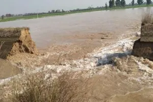ਮਲੂਕ ਪੁਰਾ ਮਾਈਨਰ ਟੁੱਟੀ, ਸੈਂਕੜੇ ਏਕੜ ਕਣਕ ਤੇ ਹੋਰ ਫਸਲਾਂ ਡੁੱਬੀਆਂ