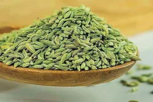 ਬਹੁਤ ਗੁਣਕਾਰੀ ਹੈ ਸੌਂਫ (Fennel seeds)