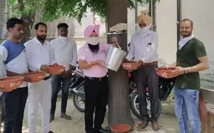 ਸੱਚ ਕਹੂੰ ਦੀ 18ਵੀਂ ਵਰੇਗੰਢ ਮੌਕੇ ਪੰਛੀਆਂ ਲਈ ਕੀਤਾ ਪਾਣੀ  ਦਾ ਪ੍ਰਬੰਧ, 30 ਮਿੱਟੀ ਦੇ ਕਟੋਰੇ ਰੱਖੇ