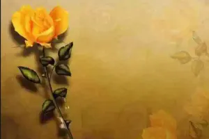 ਜਿਉਣ ਦਾ ਵੱਲ