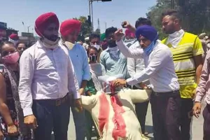 ਬੇਰੁਜ਼ਗਾਰ ਅਧਿਆਪਕਾਂ ਨੇ ਮੁੱਖ ਮੰਤਰੀ ਦੇ ਪੁਤਲੇ ਨੂੰ ਪਹਿਲਾਂ ਪਿਆਇਆ ਖੂਨ, ਫਿਰ ਲਾਇਆ ਲਾਂਬੂ