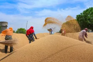 ਕਣਕ ਦੇ ਖਰੀਦ ਸੀਜਨ ਨੂੰ ਸੁਚੱਜੇ ਢੰਗ ਨਾਲ ਨੇਪਰੇ ਚਾੜ੍ਹਨ ਲਈ ਵਿਭਾਗ ਪੂਰੀ ਤਰ੍ਹਾਂ ਤਿਆਰ: ਲਾਲ ਚੰਦ ਕਟਾਰੂਚੱਕਟ