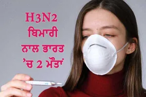 ਐੱਚ3ਐੱਨ2 ਵਾਇਰਸ ਨੇ ਫਤਿਹਾਬਾਦ ’ਚ ਦਿੱਤੀ ਦਸਤਕ