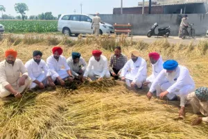 ਨੁਕਸਾਨੀ ਫ਼ਸਲ ਦਾ ਪੰਜਾਬ ਸਰਕਾਰ ਕਿਸਾਨਾਂ ਨੂੰ 40,000 ਰੁਪਏ ਪ੍ਰਤੀ ਏਕੜ ਮੁਆਵਜ਼ਾ ਦੇਵੇ : ਨਾਗਰਾ