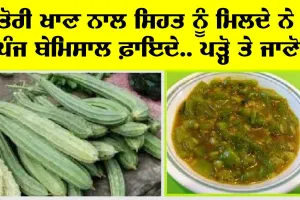 ਤੋਰੀ ਦੀ ਸਬਜ਼ੀ ਐ ਸਿਹਤ ਲਈ ਬਹੁਤ ਹੀ ਲਾਹੇਵੰਦ, ਪੜ੍ਹੋ ਤੇ ਜਾਣੋ…