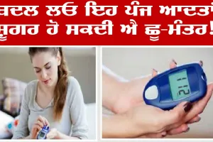 Diabetes Easy Night Routine : ਸ਼ੂਗਰ ਦੇ ਮਰੀਜ ਰੋਜ਼ਾਨਾ ਕਰਨ ਇਹ ਕੰਮ, ਸ਼ੂਗਰ ਦੀ ਬਿਮਾਰੀ ’ਚ ਫਿਰ ਆਰਾਮ ਹੀ ਆਰਾਮ!