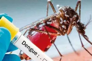 Punjab Dengue Update: ਪੰਜਾਬ ’ਚ ਡੇਂਗੂ ਦੇ 451 ਮਾਮਲੇ, ਚਿਕਨਗੁਨੀਆ ਦੇ 16 ਕੇਸ