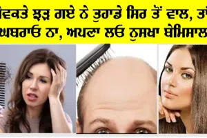 ਤੁਹਾਡੇ ਸਿਰ ਤੋਂ ਵੀ ਝੜ ਰਹੇ ਨੇ ਵਾਲ, ਤਾਂ ਘਬਰਾਓ ਨਾ, ਅਪਣਾਓ ਇਹ ਸ਼ਾਨਦਾਰ ਨੁਸਖਾ